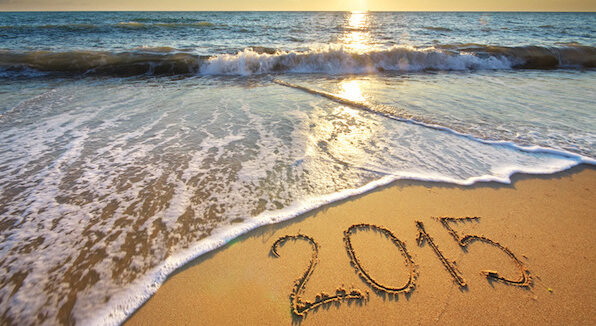 Our Crazy Year In Review